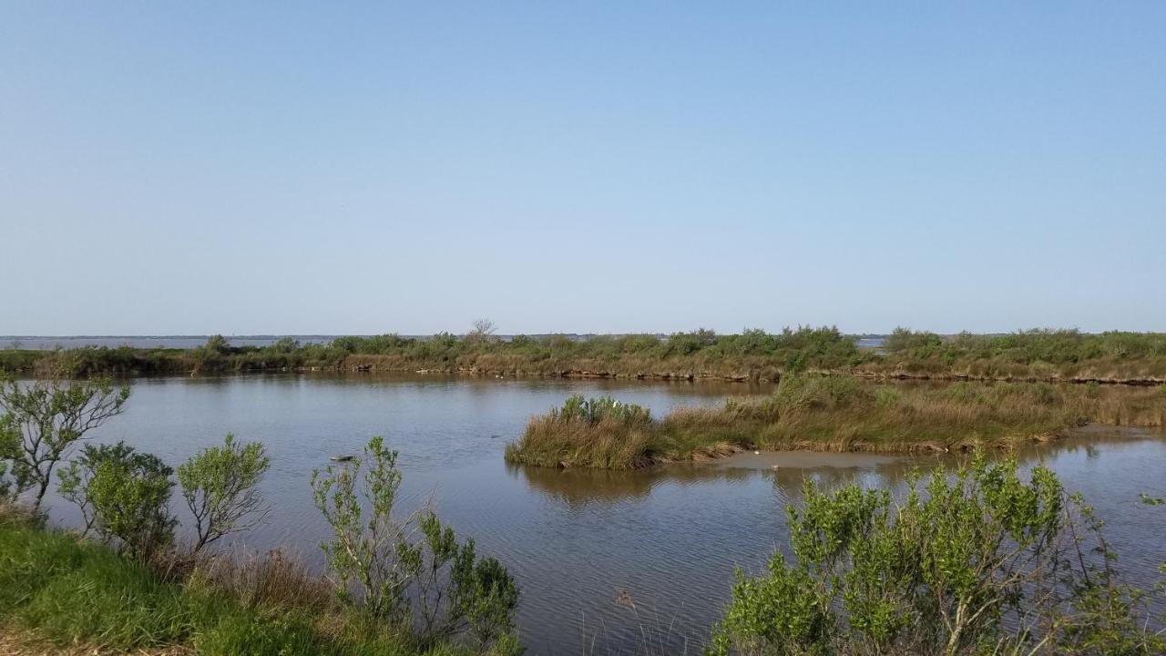 Chambre Chez L'Habitant Avec Spa Et Petit-Dejeuner En Lisiere De Foret Le Teich Zewnętrze zdjęcie
